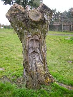 a tree trunk with a face carved into it