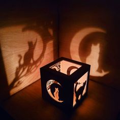 the shadow of two cats on a wooden wall next to a small box with an animal design in it