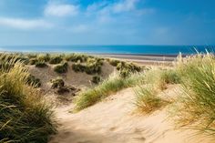 sand dunes with grass growing out of them and the ocean in the background