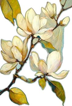 a painting of some white flowers on a branch