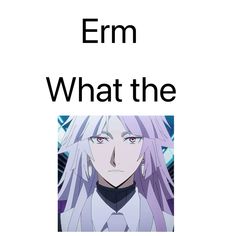 an anime character with purple hair and text that reads, erm what the