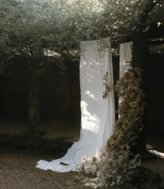 a white dress hanging from a tree in the sun with flowers around it and vines growing on the ground