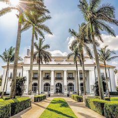 a large white building surrounded by palm trees