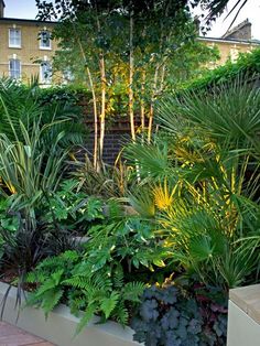 an outdoor garden with lots of plants and trees in the back ground, next to a building