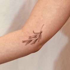 a woman's arm with a tattoo on it that has an olive branch in the middle