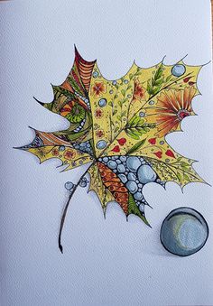 a drawing of a maple leaf with water droplets