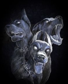 two black dogs with their mouths open on a black background