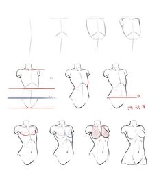 an image of how to draw female torsos with different angles and positions for each body