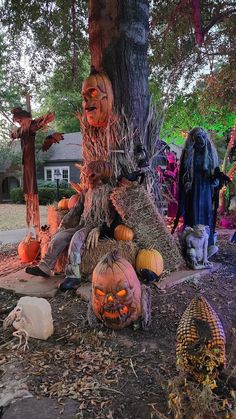 a group of pumpkins sitting on the ground next to a tree