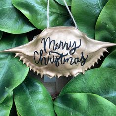 a merry christmas sign hanging from a green plant