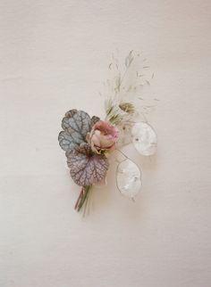 some flowers and leaves on a white surface