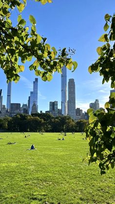 people are laying in the grass near tall buildings and skyscrapers on a sunny day