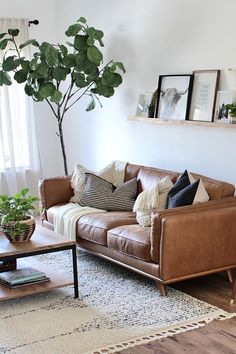 a living room filled with furniture and a potted plant on top of a coffee table