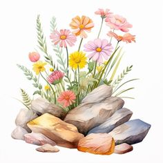 a watercolor painting of flowers and rocks