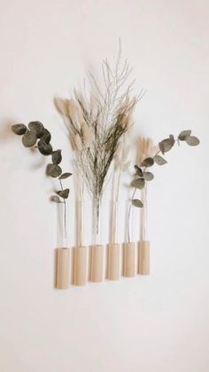 four vases with plants in them against a white wall