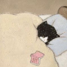 a black and white cat sleeping on top of a bed next to a teddy bear