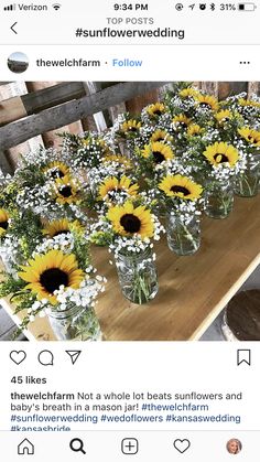 sunflowers are arranged in mason jars on a table