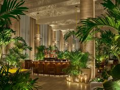 the interior of a restaurant with potted plants