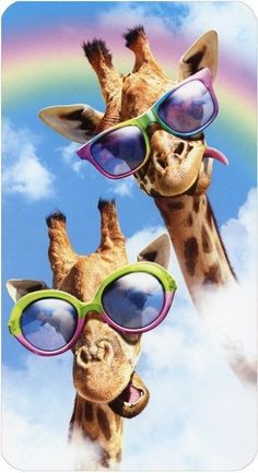 two giraffes wearing sunglasses with a rainbow in the background