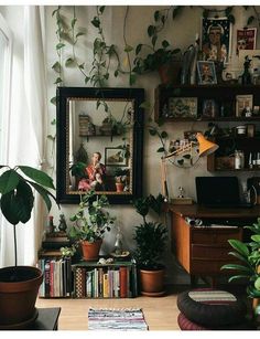 a living room filled with lots of plants and books