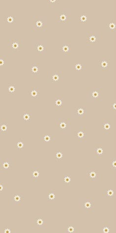 a beige background with white daisies and dots on the bottom half of the image