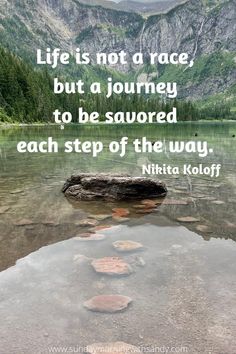 a lake with rocks in it and a quote about life is not a race, but a journey to be savored each step of the way