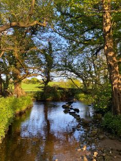 a river running through a lush green forest