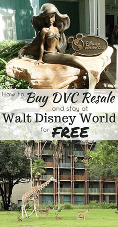 the disney world resort with text overlay that reads, how to buy dvc resale and stay at walt world for free