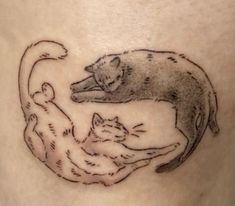 a cat and dog tattoo on the stomach