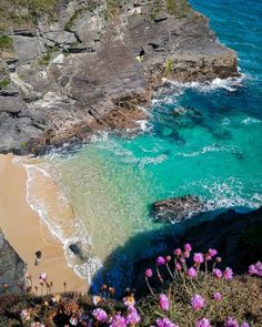 the beach is surrounded by rocky cliffs and clear blue water, with pink flowers growing in the foreground