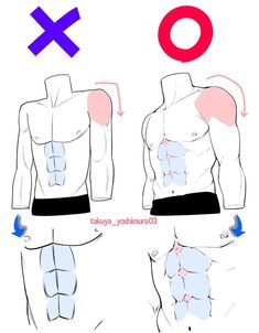 the diagram shows how to draw an upper and lower torso