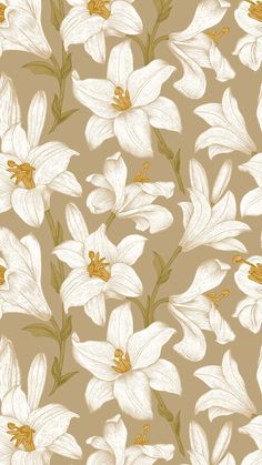 an image of white flowers on a brown background