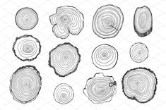 the different types of tree rings are shown in black and white, as well as an outline