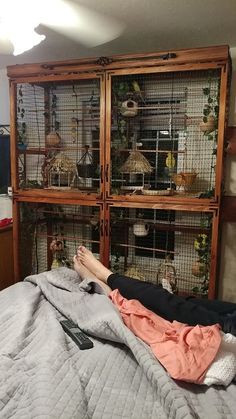 a person laying on top of a bed with lots of birds in cages