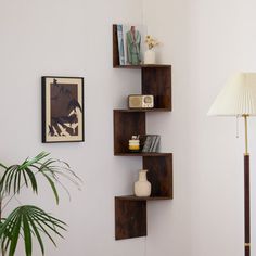 a living room with a lamp and some bookshelves on the wall next to a potted plant