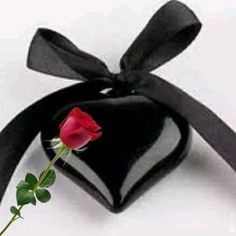 a single red rose sitting in a black heart shaped box with a ribbon tied around it