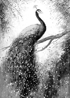 a black and white drawing of a peacock on a branch with snow falling all over it