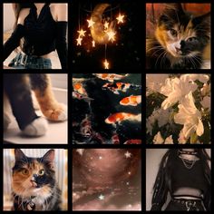 a collage of pictures with cats and flowers