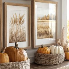 some pumpkins and gourds are sitting on a shelf in front of two framed pictures