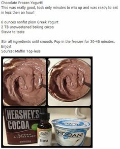 the recipe for chocolate frozen yogurt is shown