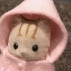 a small stuffed animal in a pink hoodie