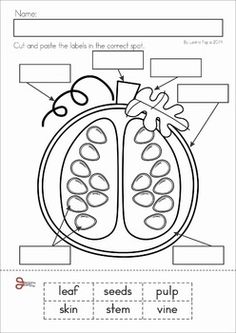 a worksheet for the parts of a fruit and vegetable plant with pictures on it