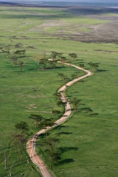 an aerial view of a dirt road in the middle of a green field with trees on both sides