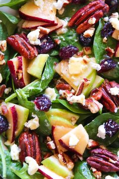 spinach salad with apples, cranberries, pecans and blue cheese on top