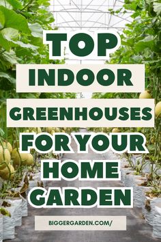 Explore the Best Indoor Greenhouse ideas with tips on Decorating A Greenhouse, Small Greenhouse Shelving Ideas, and Cute Greenhouse Ideas. Discover Small Greenhouse Ideas Diy, Greenhouse Interior Design, Greenhouse Furniture, Greenhouse Layout Interiors, and Small Backyard Greenhouse solutions. Greenhouse Shelves