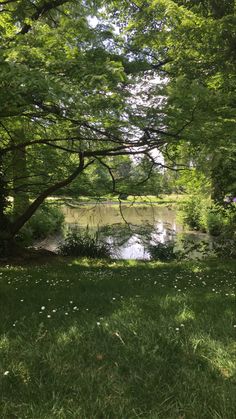 a pond surrounded by lush green trees and grass