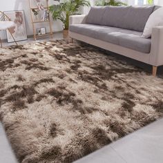 a living room area with a couch, rug and potted plant in the corner