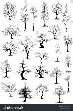 black and white tree silhouettes set with snow on the ground, trees in winter