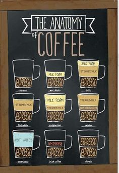 the anatomy of coffee on a chalkboard with different types of espresso and cappuccino