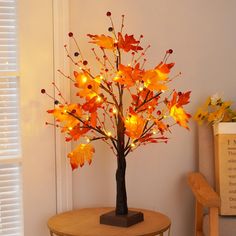 a lighted tree with leaves on it in front of a window and a wooden table